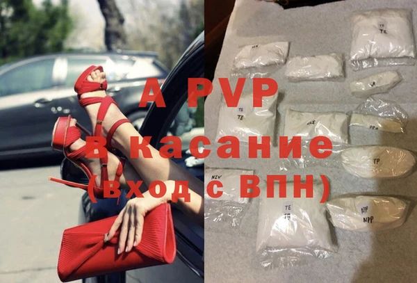 стаф Абаза