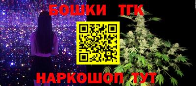 соль ск Пугачёв