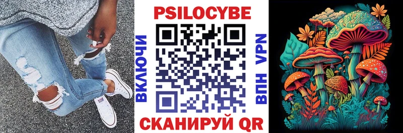 Псилоцибиновые грибы GOLDEN TEACHER как найти закладки Благовещенск