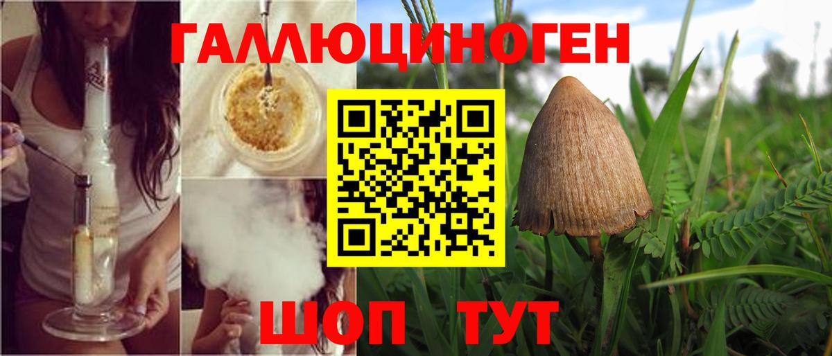 Галлюциногенные грибы Cubensis Благовещенск