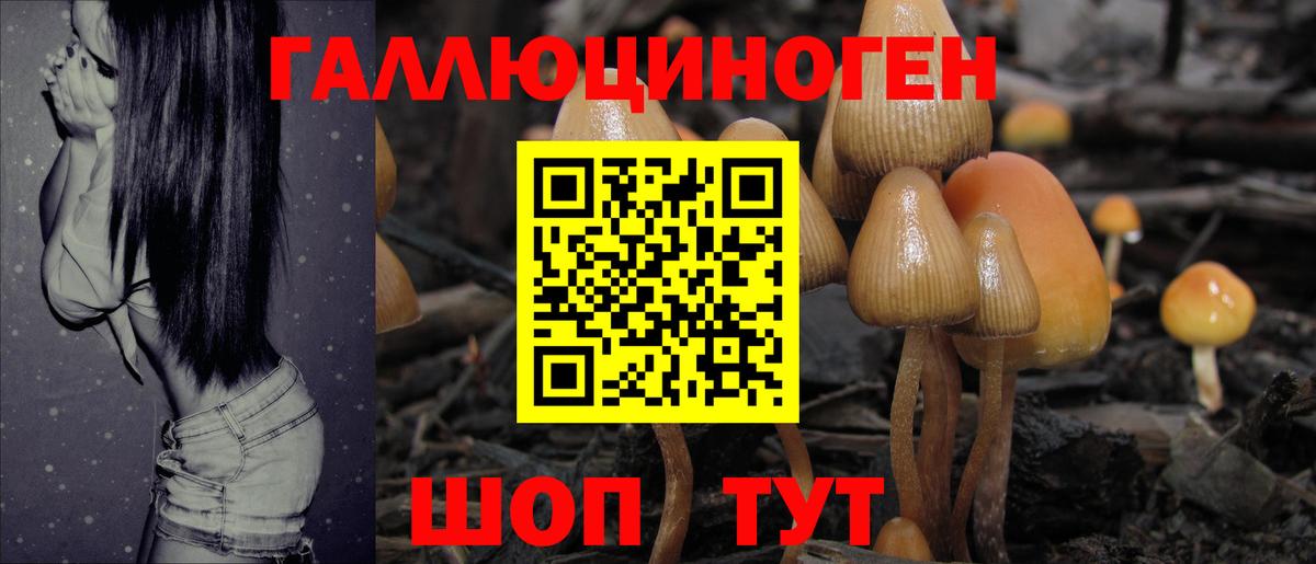 Благовещенск  Галлюциногенные грибы MAGIC MUSHROOMS  Псилоцибиновые грибы прущие грибы  Вход с VPN 